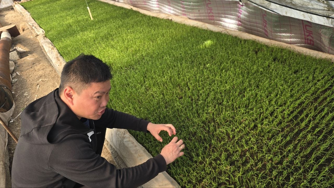 1650a5b5f3790ceee3ce9dcd044ed107.jpg 1650a5b5f3790ceee3ce9dcd044ed107.jpg