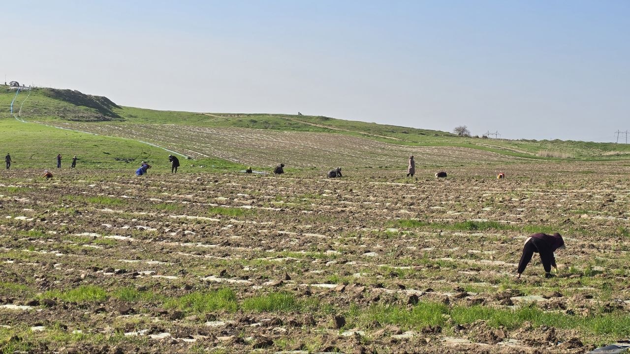 dd06ccb838050e9c5250dcc771c08d3c.jpg dd06ccb838050e9c5250dcc771c08d3c.jpg